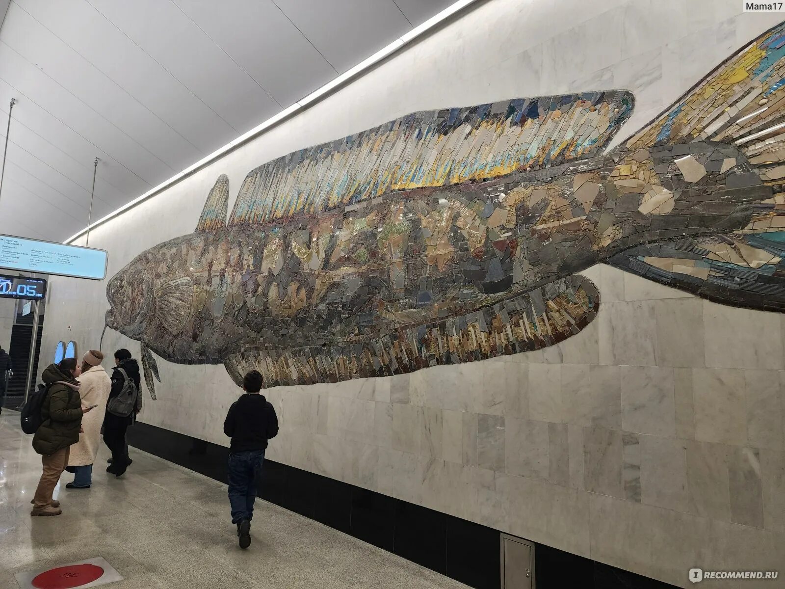 Кто кроме рыб плавает на станции бкл. Станция метро с рыбами. Рыбы Московского метрополитена. Станция метро с рыбами в Москве. Станция БКЛ С рыбами.