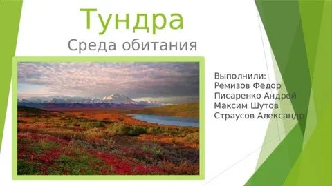 Абиотические факторы тундры