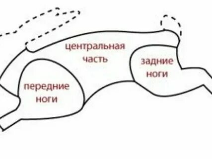 Обработка зайца