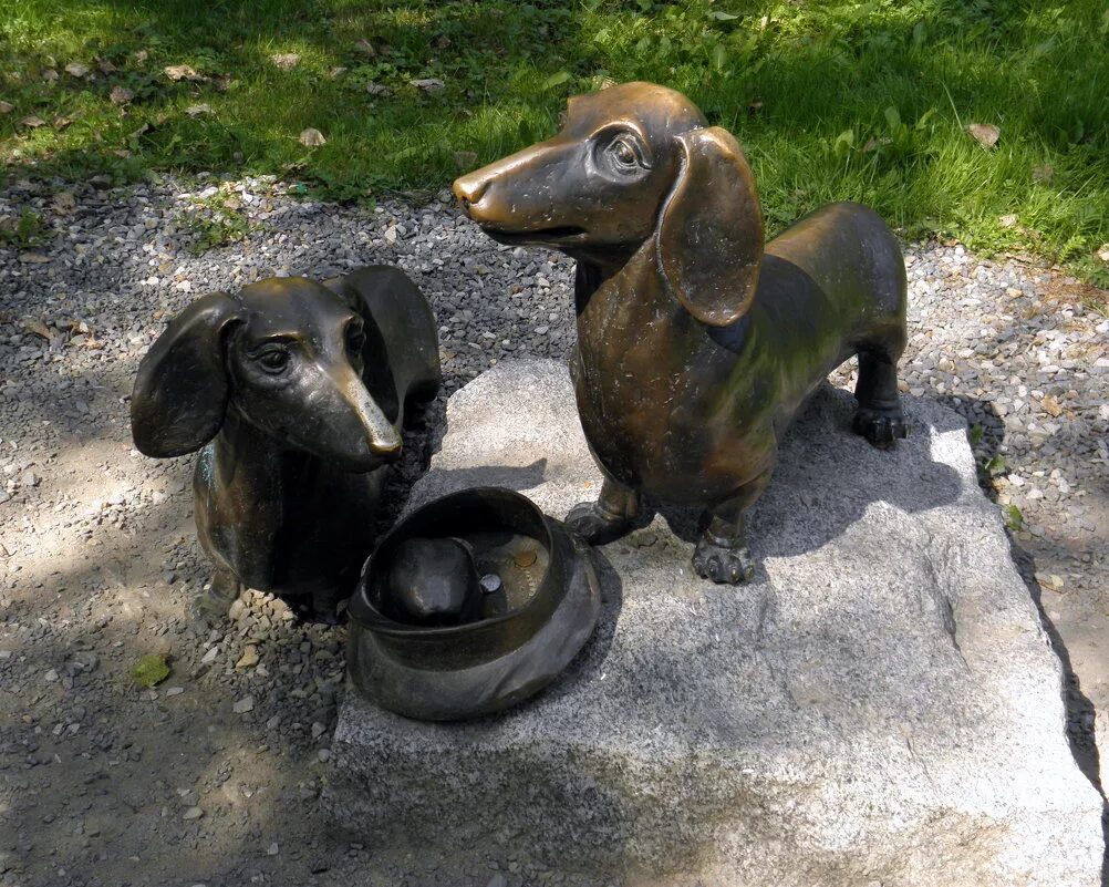 усадьба мелихово таксы. чехов антон павлович с таксами. мелихово усадьба чехова такса. имена собак чехова. имена собак чехова.