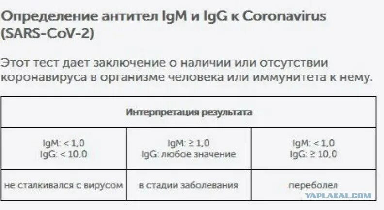 Антитела сколько времени делается анализ. Норма антител к коронавирусу в крови. Анализ на антитела к коронавирусу норма. Норма антител к коронавирусу в крови таблица. Анализ антител на коронавирус расшифровка.