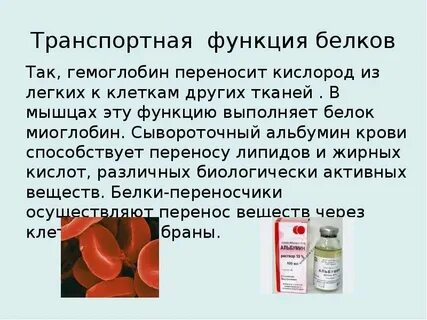 Энергетические белки какие
