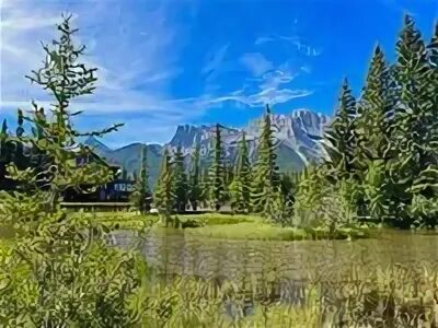 Dimcay. Sat places. Стул на горе. Dim cayi. Sat places.