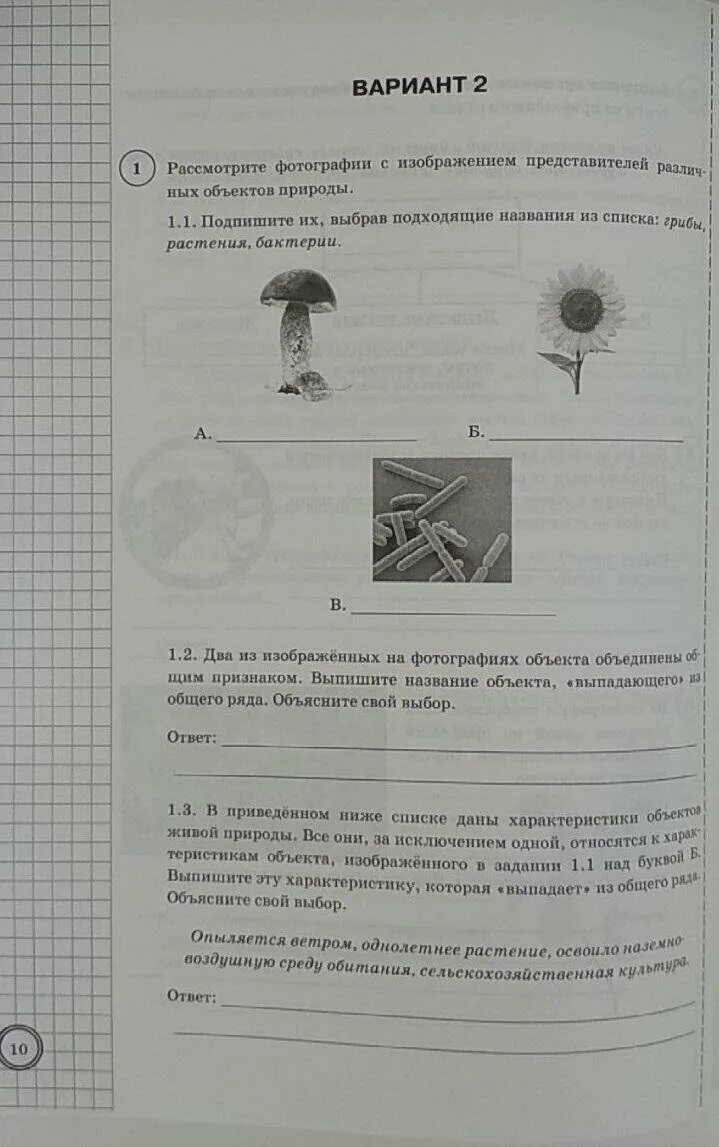 Впр по биологии 5 класс 25 вариантов