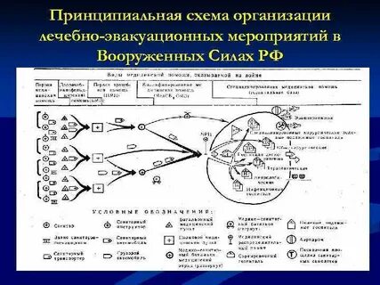 Основными видами обеспечения эвакуационных мероприятий являются