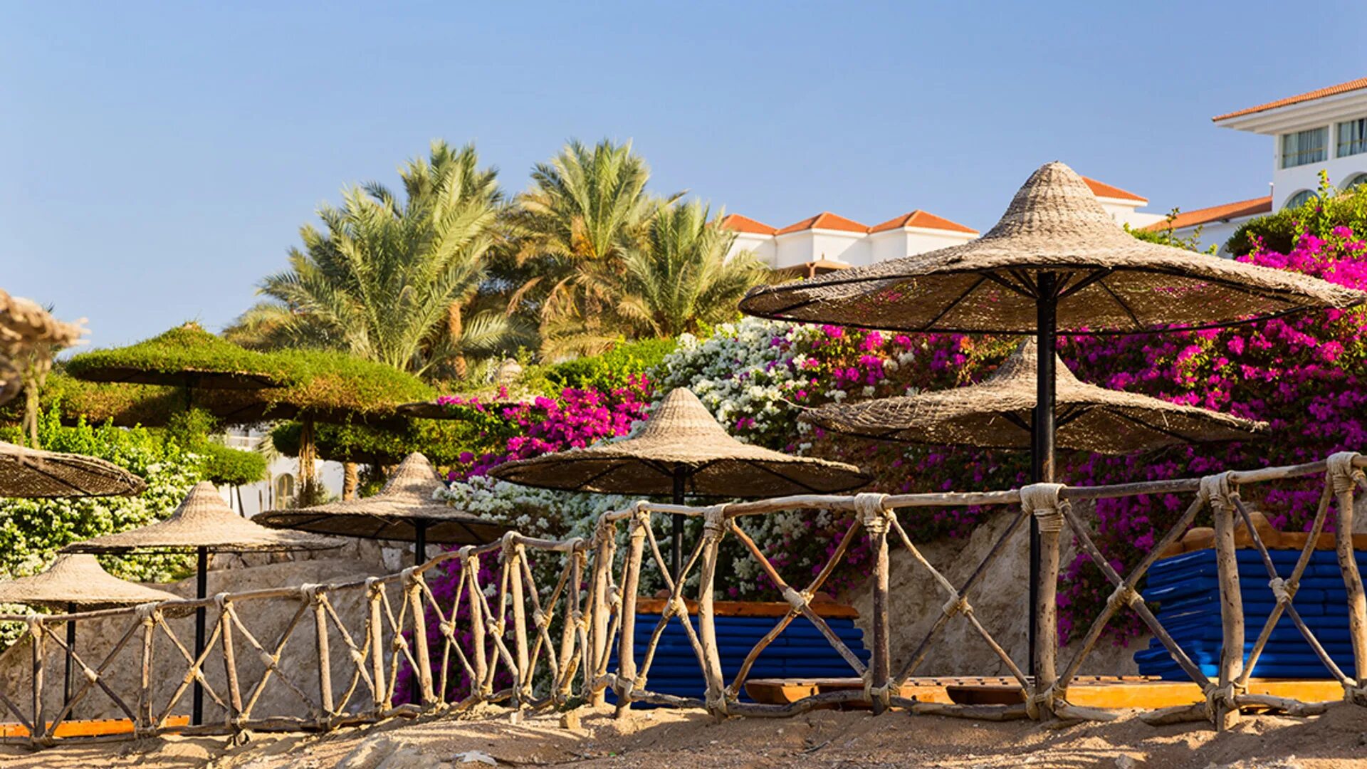 Siva sharm resort 4 шарм эль шейх. Отель в Египте Siva Sharm. Савита отель Египет Шарм-Эль-Шейх. Савита Резорт спа Египет. Египет отель Сива Шарм 5.