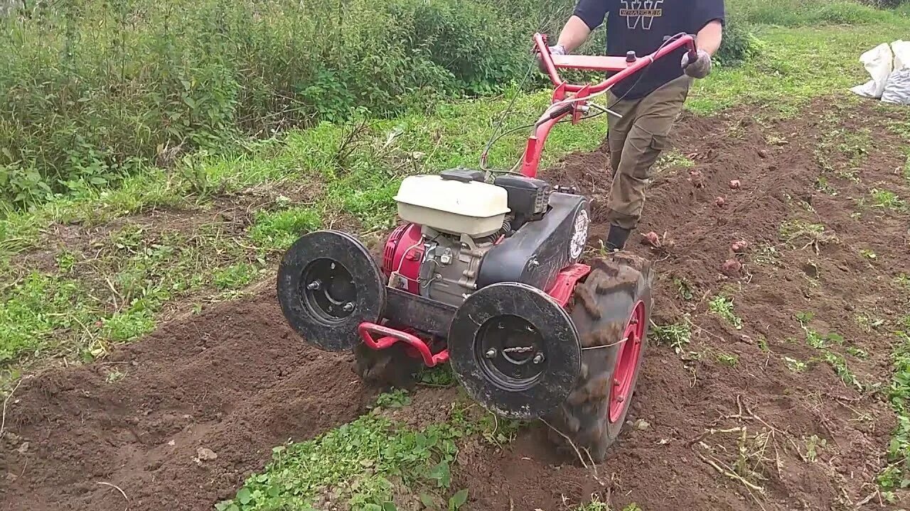 Как копать картошку мотоблоком видео. Мотоблок агат копаем картошку. копка картошки мотоблоком салют. копка картофеля мотокультиватором кайман. выкапывание картофеля мотоблоком салют.