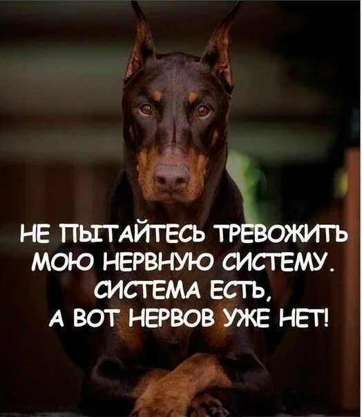 Не звони мне больше. Отдыхаю не тревожить. Соловьёв-седой. Меладзе не тревожь мне душу скрипка ноты. Не тревожься.