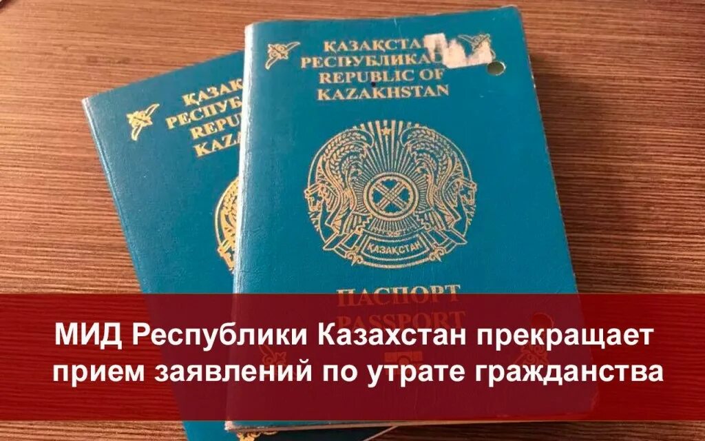 Получение гражданства рф для казахстана. Утрата гражданства РК. Заявление по утрате гражданства Казахстана. Утрата гражданства посольство РК.