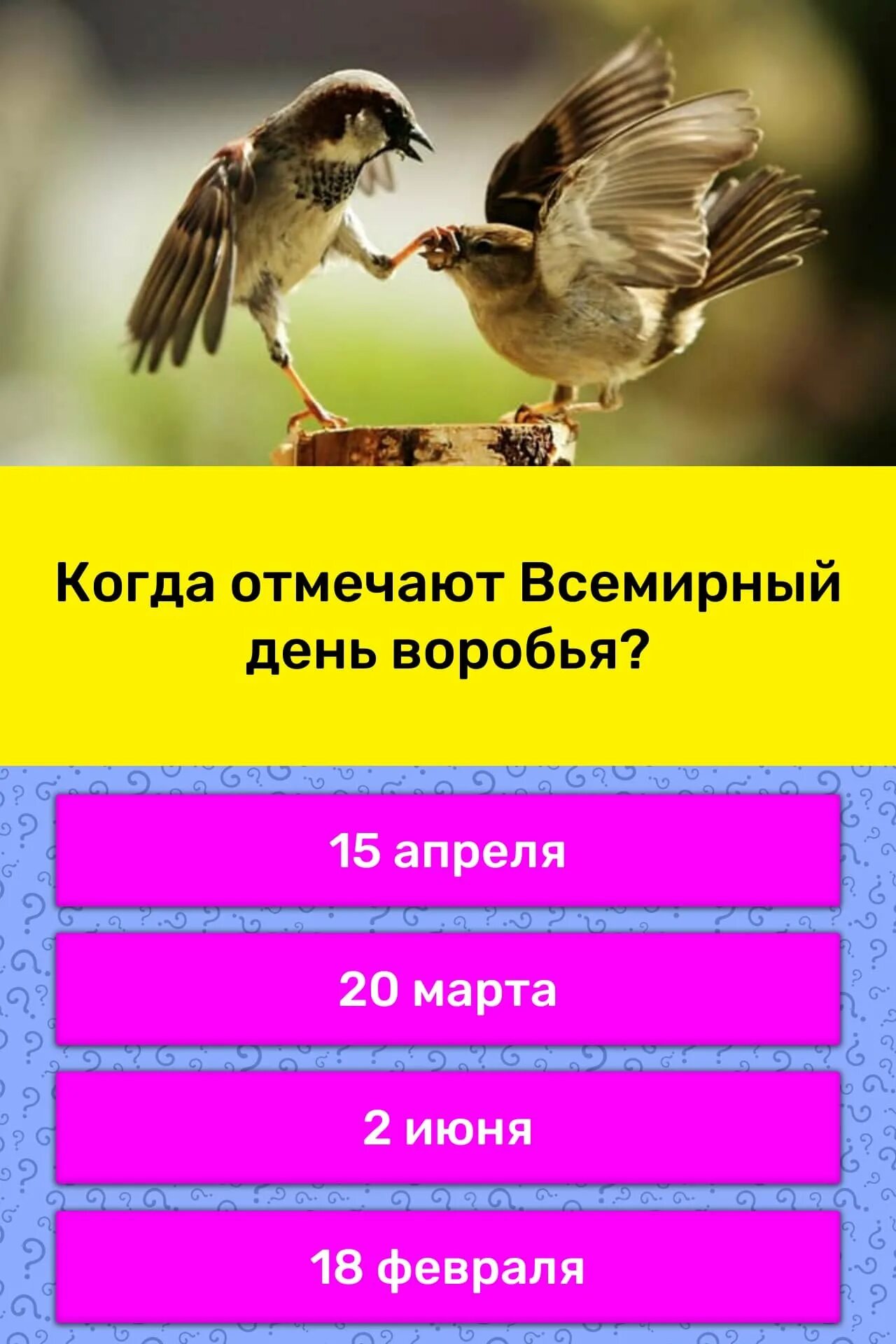 Всемирный день воробья. Всемирный день воробья 20. Международный день Воробьев. День воробья мероприятия