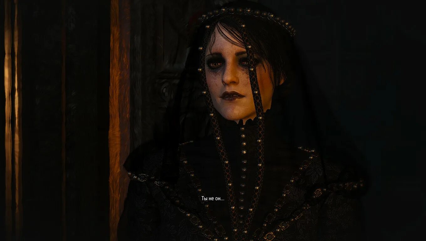 Призрак ведьмак. Ведьмак 3 каменные сердца ирис. Ведьмак ирис фон эверек. Ирис фон эверек. Witcher 3 ирис.