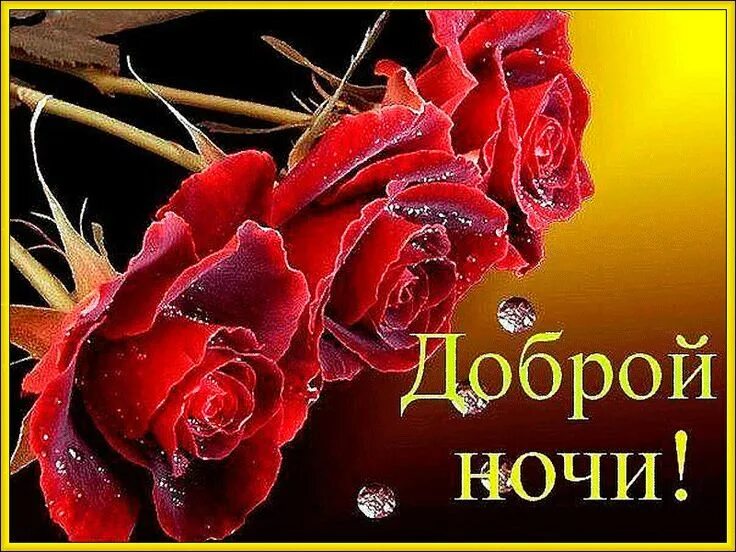 Спокойной ночи с цветами. Доброй ночи цветы. Белые розы спокойной ночи. Спокойной ночи цветочек. Добрых снов с розами.