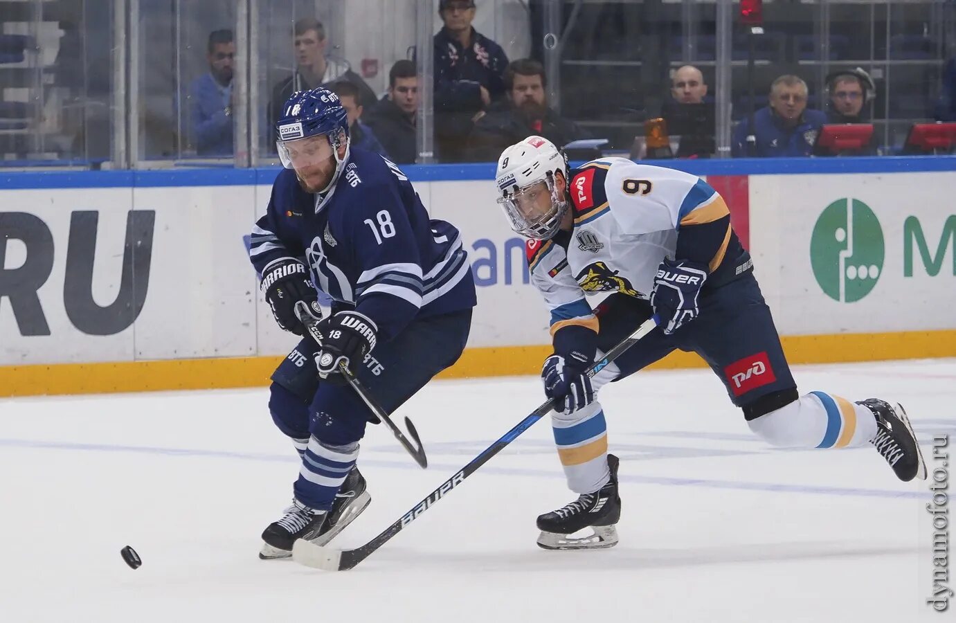 кхл сочи сегодня. кхл сочи сегодня. динамо рига кхл. команды кхл. кхл сочи сегодня.