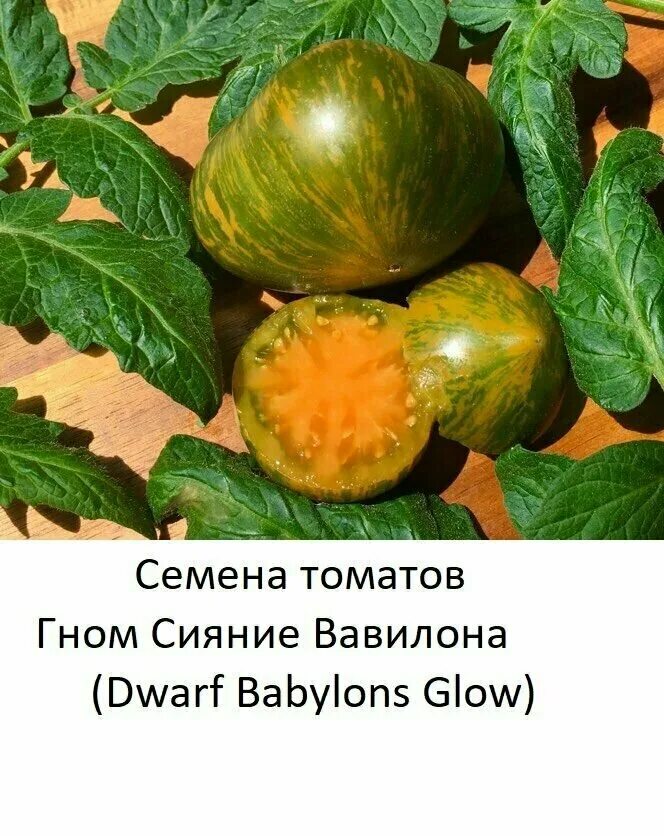 сияние вавилона (dwarf babylon`s glow). сорт томатов сияние вавилона. томат козула 75. томат козула 156. томат сияние вавилона.
