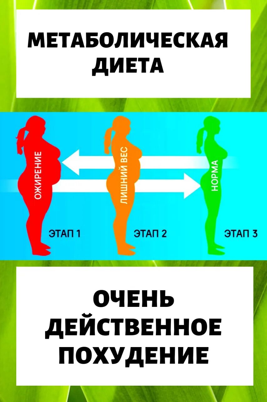 Программа метаболического похудения