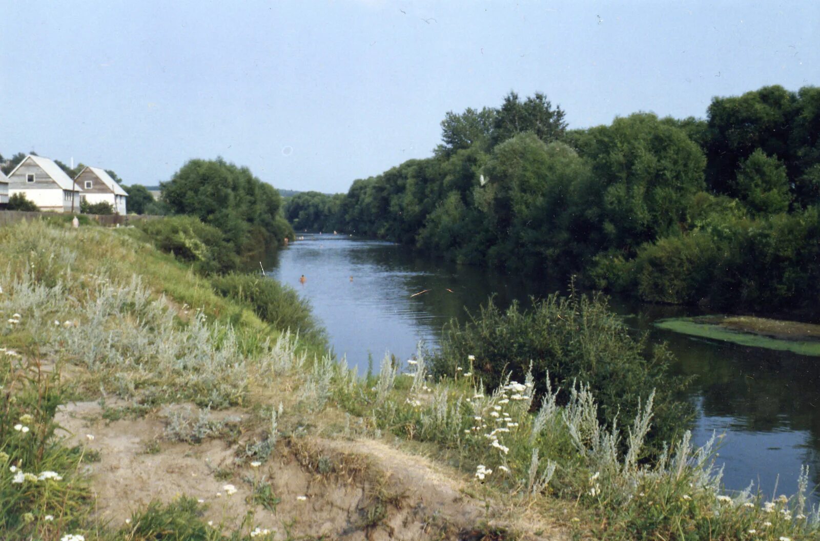 Река сердоба сегодня. Сердоба Сердобск. Сердобск река. Река Сердоба. Сердобск лес Сердоба.