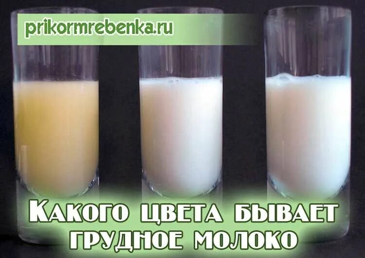 Как отличить молоко