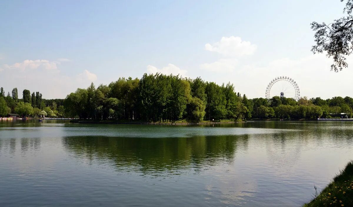 Измайловский парк московский просп 2 москва фото. Измайловский парк Москва. Лесопарк Измайлово. Измайловский парк Измайлово. Измайловский лесопарк Москва.