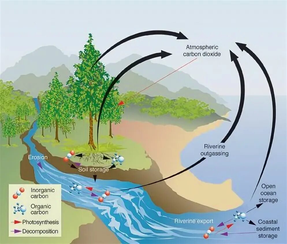 Use carbon dioxide. Геохимический цикл углерода. Inorganic Carbon Cycle. Carbon in atmosphere. Диоксид карбона природа.