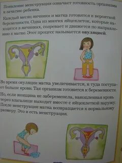 Наш первый разговор об этом