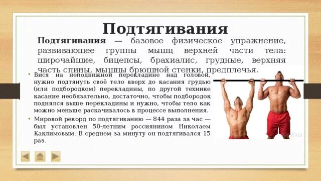 Id beauty. Мышцы при подтягивании параллельным хватом. Слово подтягивать. Слово подтягивать. Подтягивания прямым хватом.