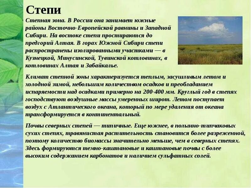 Какое значение степь имеет в жизни человека. Сообщение природные зоны России. Сообщение о природной зоне. Природные зоны России доклад. Доклад о природной зоне.