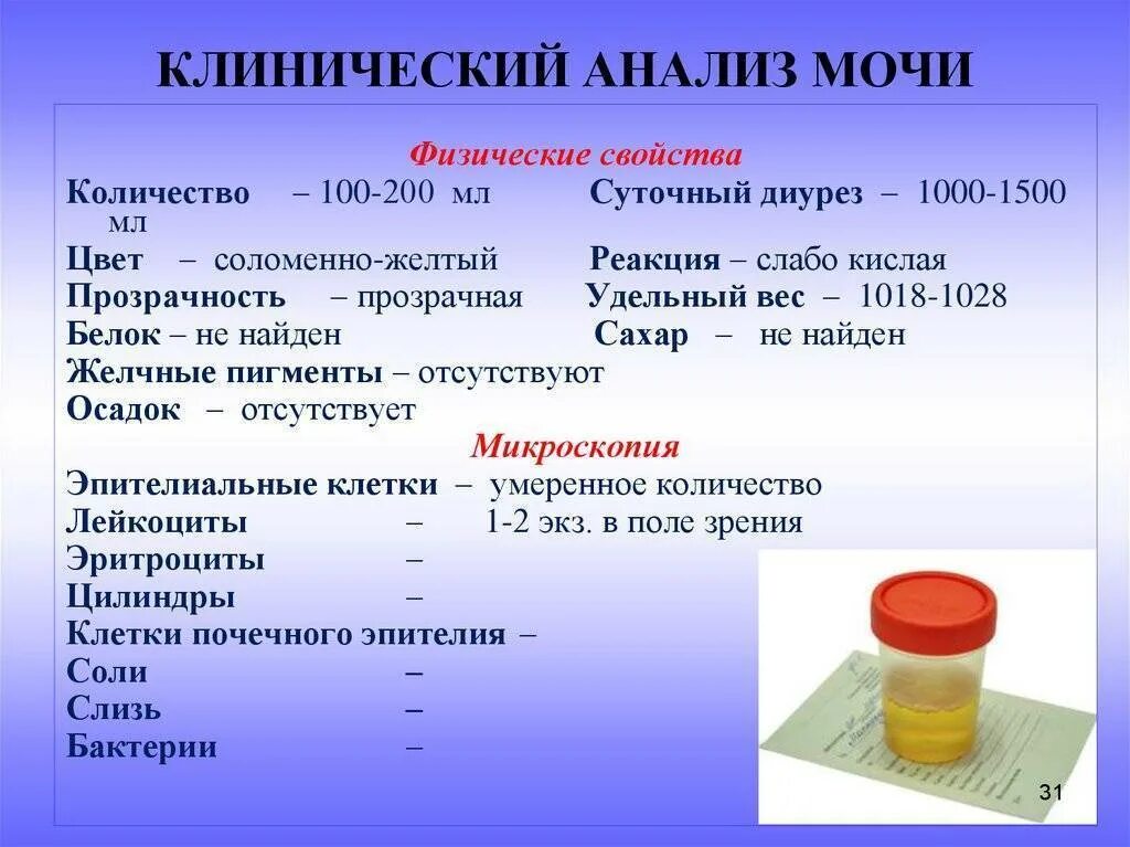 В течении какого времени сдают мочу