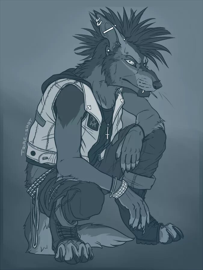 Песня матерый старый волк. Матёрый волк король и шут. Король и шут лесник. Киш матерый волк. Киш лесник арт.