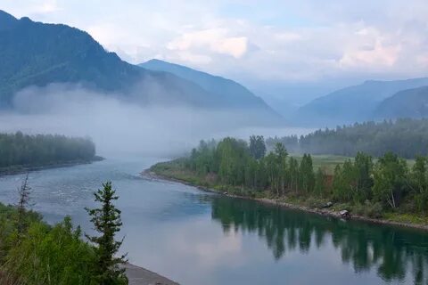 Altai krai arbitr