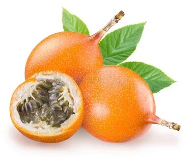 Orange passion fruit перевод