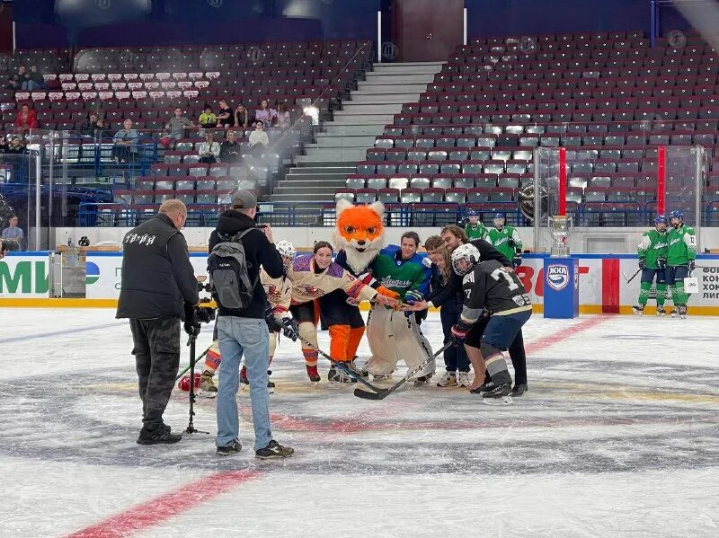 ушастый хоккей