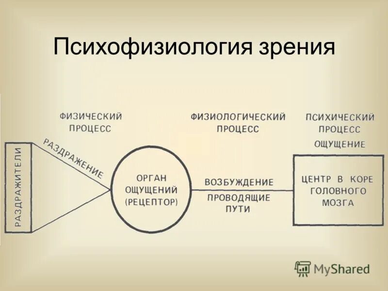 психофизиология цветового зрения. измайлов, ч. а. психофизиология цветового зрения. измайлов, ч.