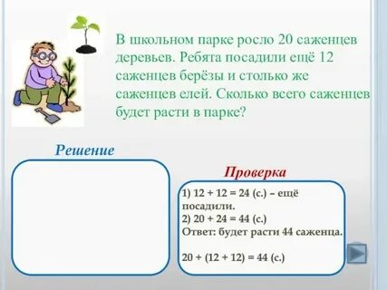 Около школы растут березы