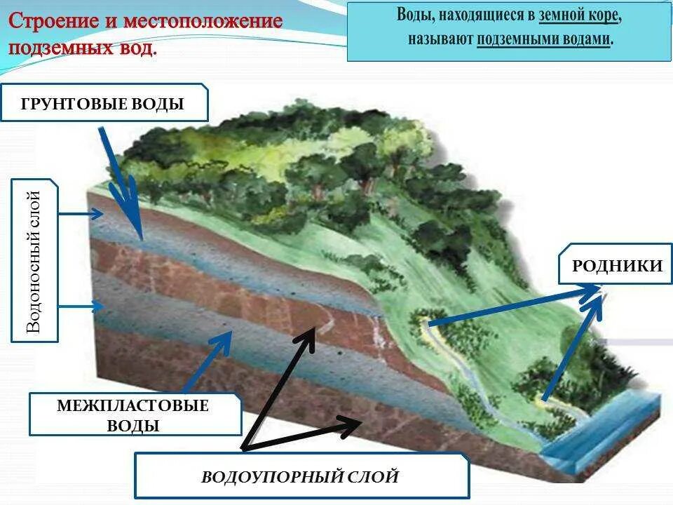 Откуда вода в родниках. Схема залегания грунтовых и подземных вод. Схема образования и залегания подземных вод. Подземные воды грунтовые и межпластовые. Водоносный Горизонт грунтовые воды слоя.