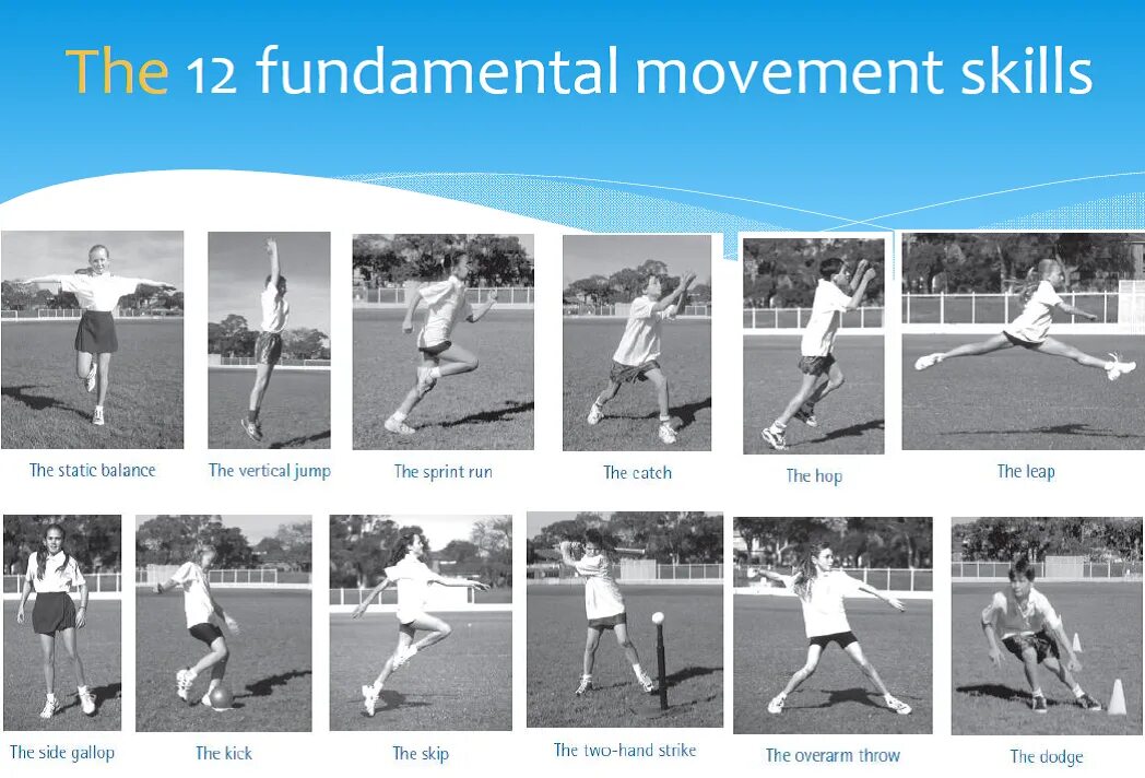 Движение skills. Fundamental Movement skills. Physical Education задания. Youth Movements Scout презентация.