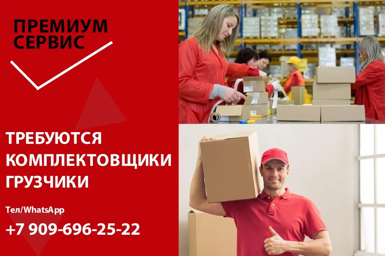 Вакансии без опыта работы прямой работодатель
