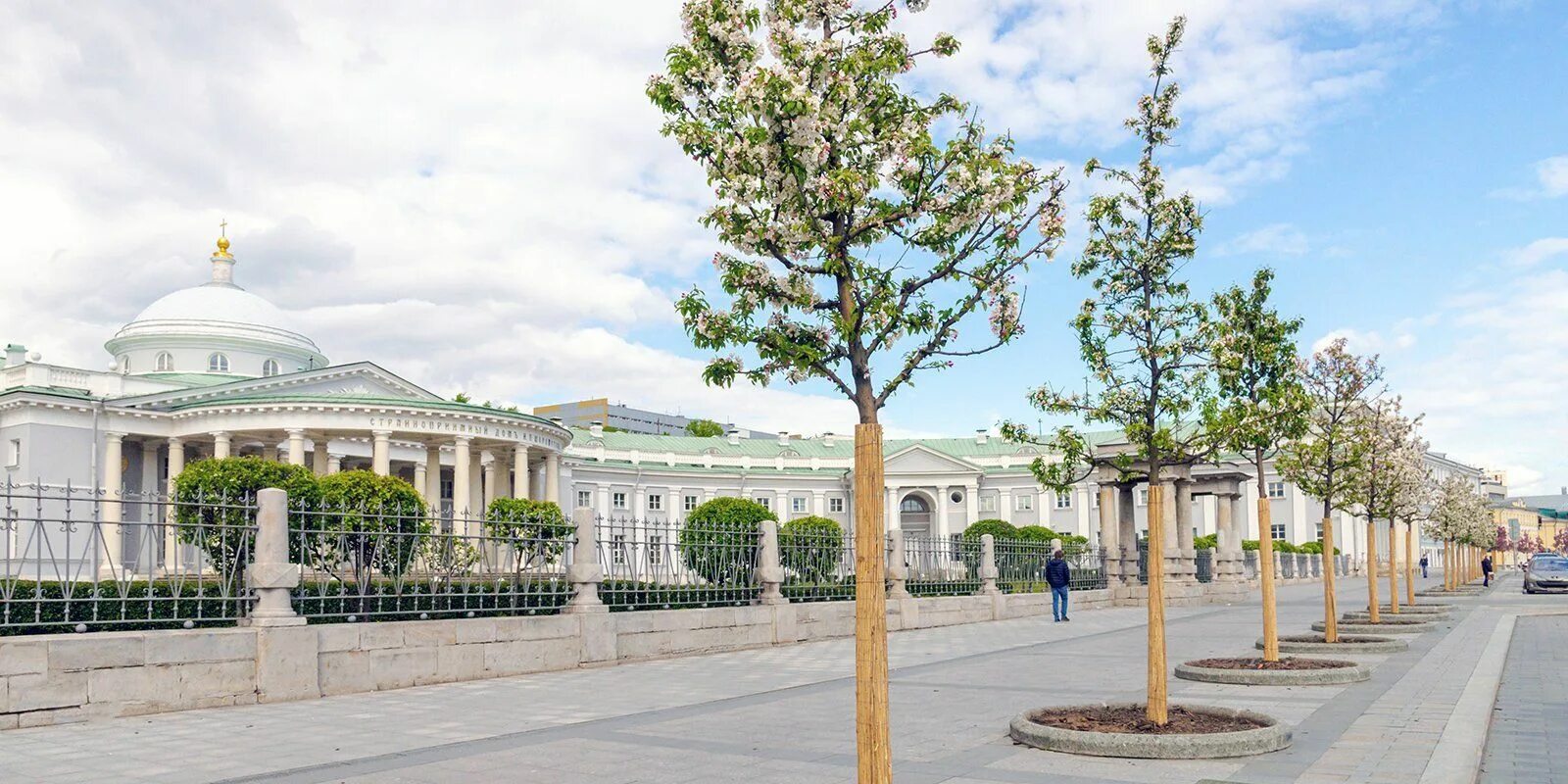 Москва сейчас деревья. Декоративные яблони на ВДНХ. Декоративные яблони на площади Ленина Москва. Зацвела яблоня на ВДНХ сегодня.