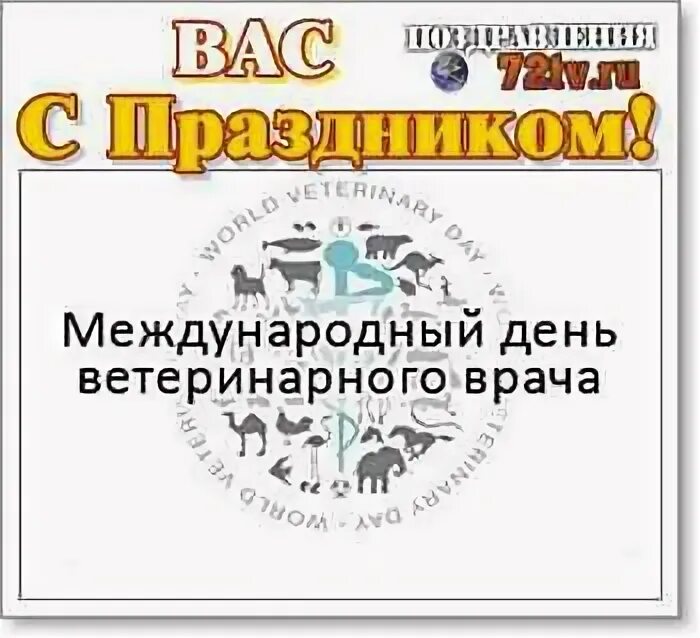 Международный день ветеринарного. С днем ветеринарного врача. 24 Апреля день ветеринарного врача. День ветврача поздравления. Международный день ветеринарного врача