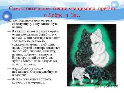 Какого волка ты кормишь