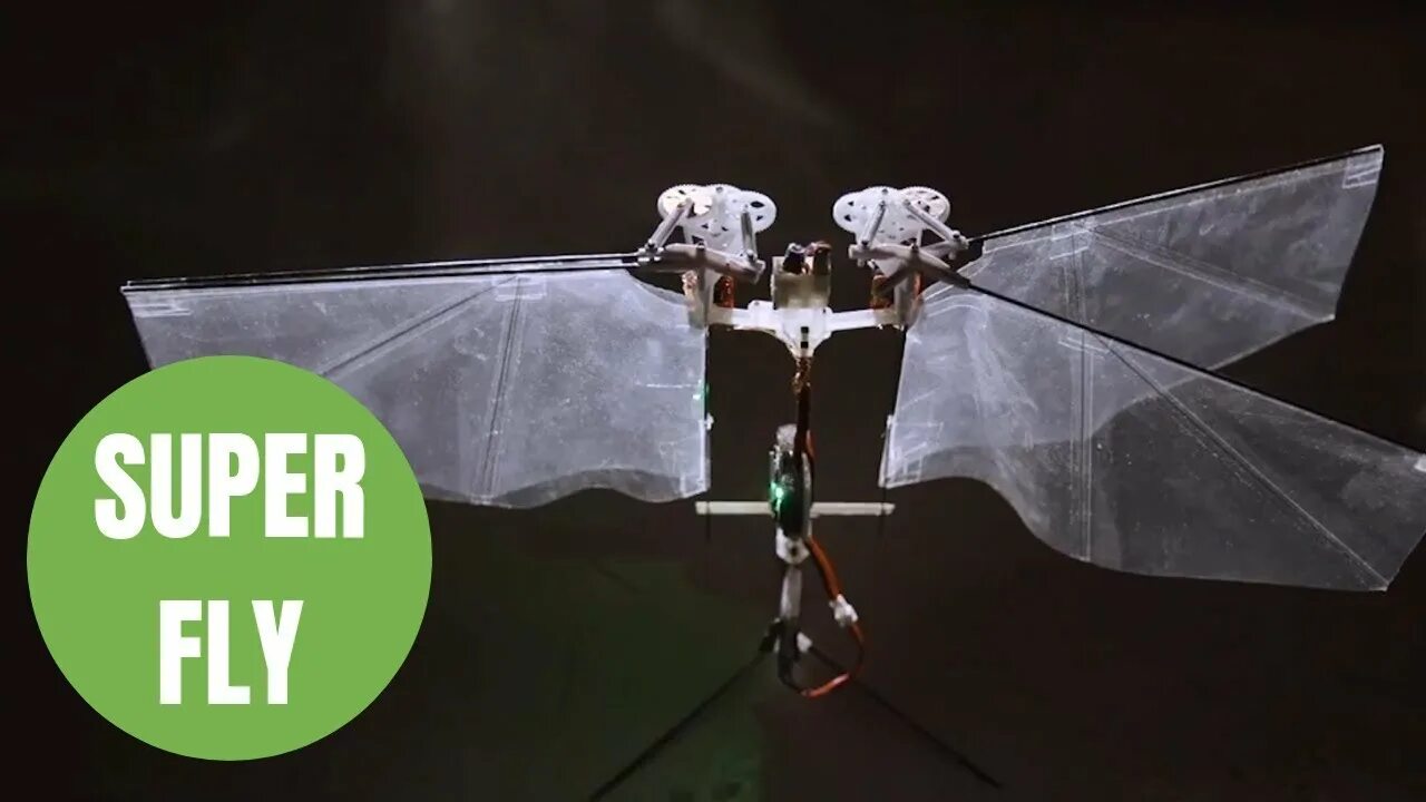 Could it wings. Энтомоптер. flap wings.