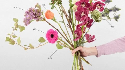 Flower language обои создать