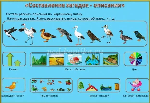 Календарное планирование старшая группа перелетные птицы весной. Задание перелетные птицы старшая группа. Перелетные птицы для дошкольников подготовительной группы. Перелётные птицы для дошкольников 5-6 лет. Развивающие задания перелётные птицы для дошкольников.