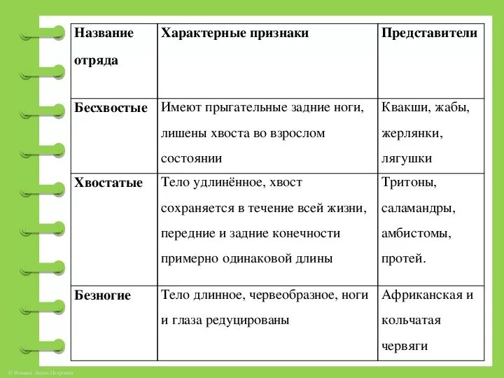 Характерные признаки представителей группы. Таблица значение земноводных по биологии 7 класс. Разнообразие земноводных 7 класс таблица по биологии. Таблица земноводные 7 класс биология. Отряды земноводных таблица 7 класс биология.