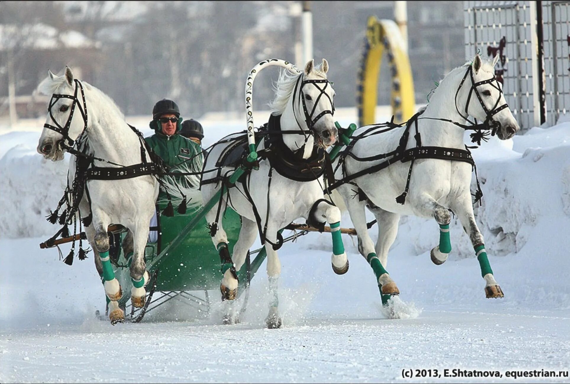 найти три белых коня. тройка тройка тройка белых лошадей. русская упряжка тройка. найти три белых коня. эх три белых коня эх три белых коня.