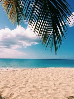 Beach collection