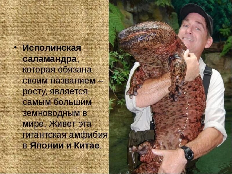 Что значит исполинский