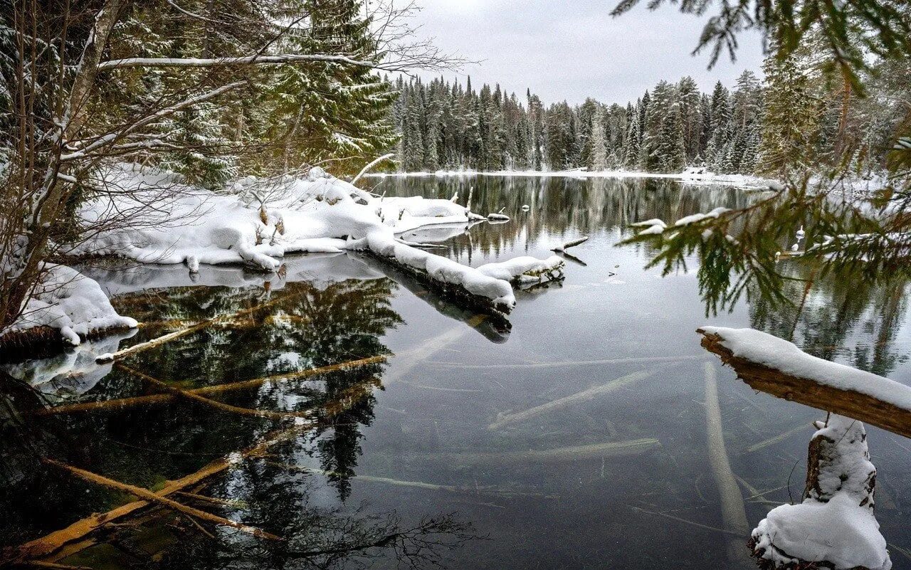 Село Суводь озеро теплое Кировская область. Теплое озеро Кировская область зимой. Незамерзающее озеро в Кировской области. Суводь Советский район озеро. Теплое озеро суводь