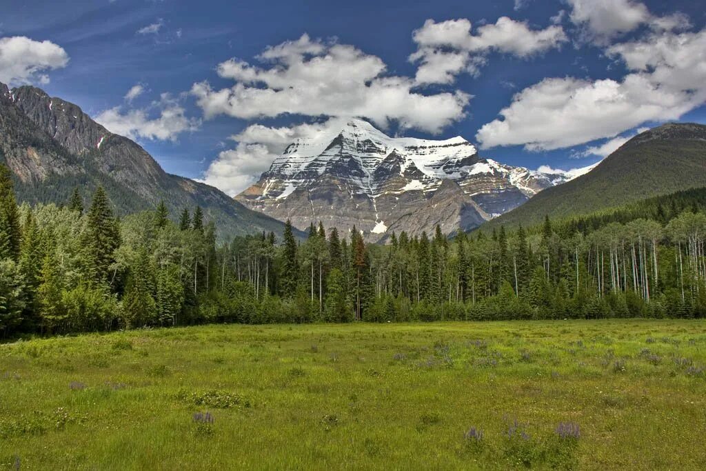 Гора Робсон, Канада. Гора Робсон Северная Америка. Гора Робсон Канада фото. Национальный парк Маунт Робсон. Максимальные высоты канады
