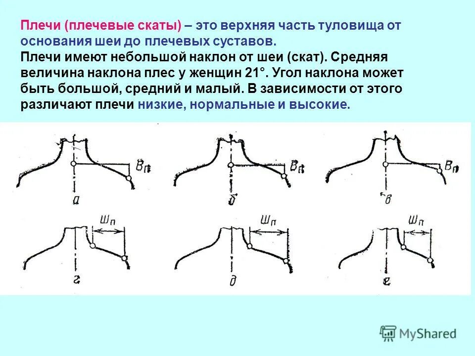 Виды плечей. Виды плеч. Форма плечевого ската. Покатая форма плеч. Ширина плечевого ската.