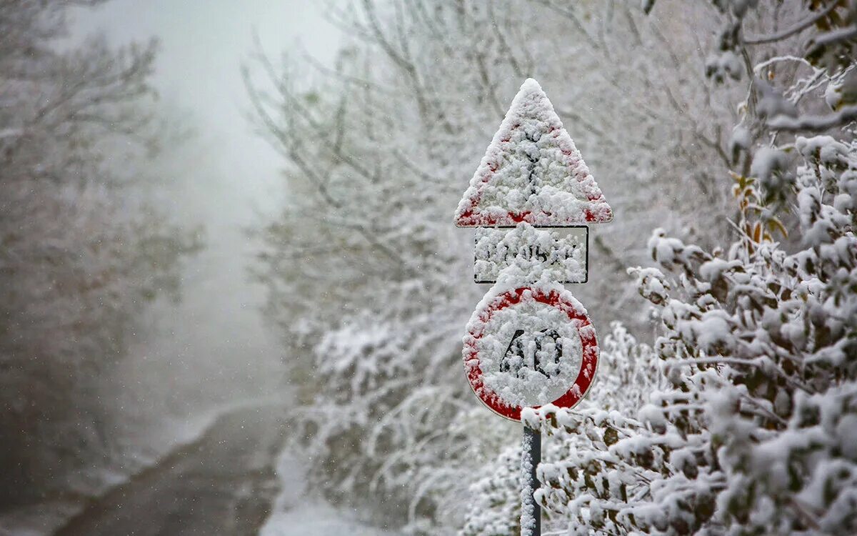 Дорожные знаки снег. Заснеженный дорожный знак. Знак замело снегом. Дорожный знак в снегу. Знак снегопада.